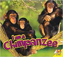 Chimpanzee (I Am (Av2 Weigl))