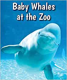 Baby Whales at the Zoo (All about Baby
