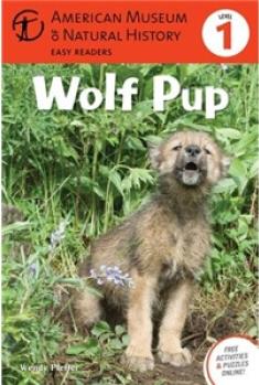 Wolf Pup: (Level 1)  [4岁及以上]