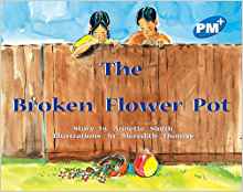 Blue - Story Books Level 11 (PM Plus)