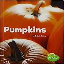Pumpkins (Celebrate Fall)