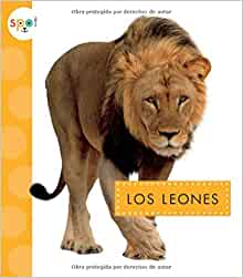Los Leones (Animales Africanos) (Spani