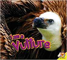 I Am a Vulture (Av2 Yo Soy / I Am)