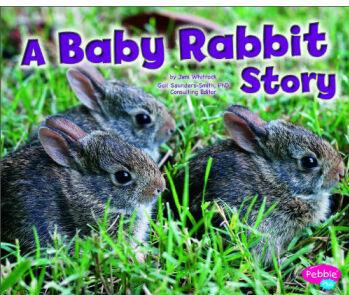 A Baby Rabbit Story (Pebble Plus: Baby
