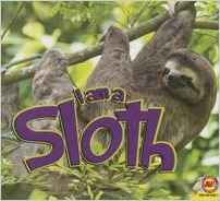 Sloth (I Am)