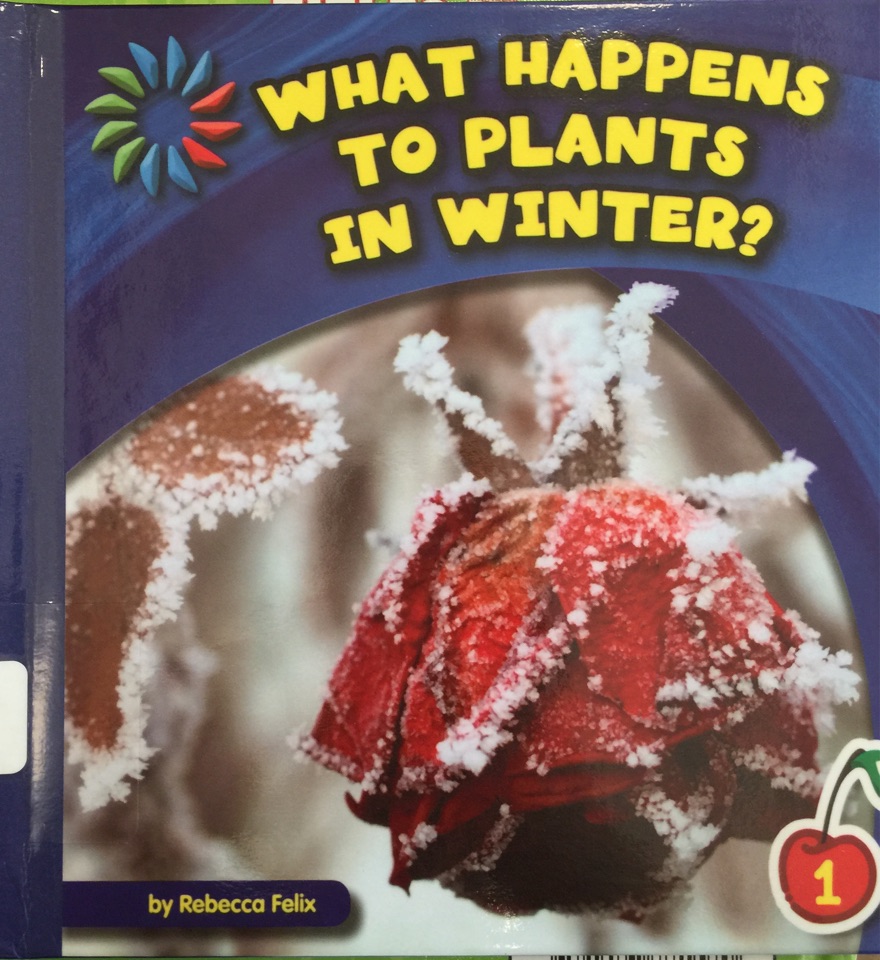 What happens to plants in winter?