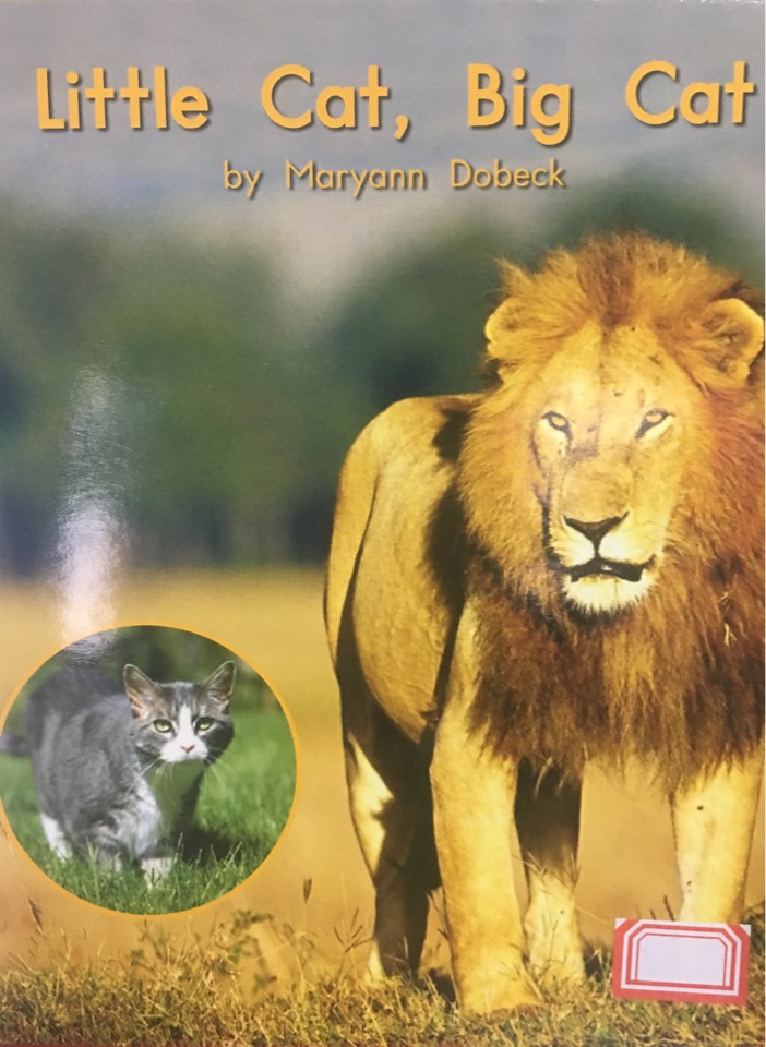 Heinemann G2-97: Little Cat, Big Cat