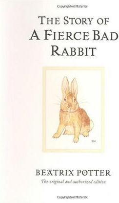The Story of a Fierce Bad Rabbit