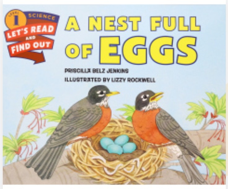 A nest full of eggs