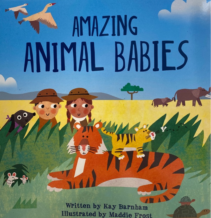 Amazing animal babies