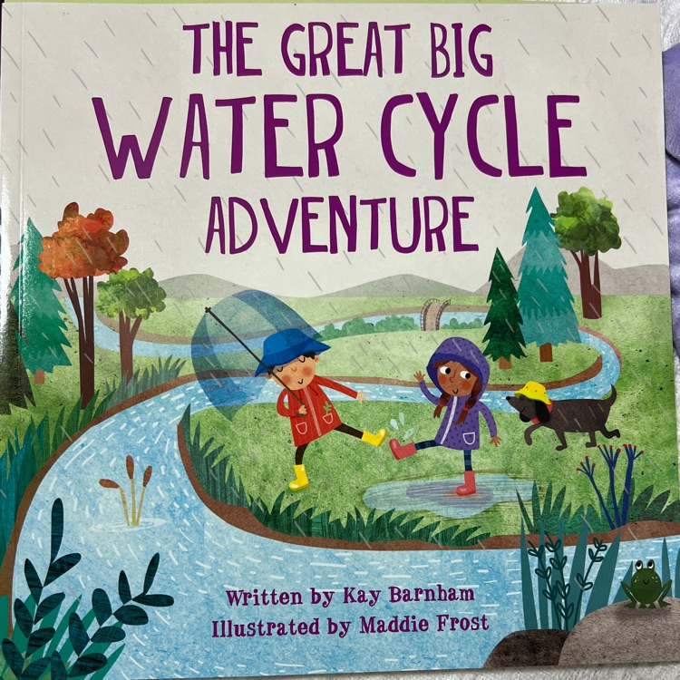 The great big water cycle adventure