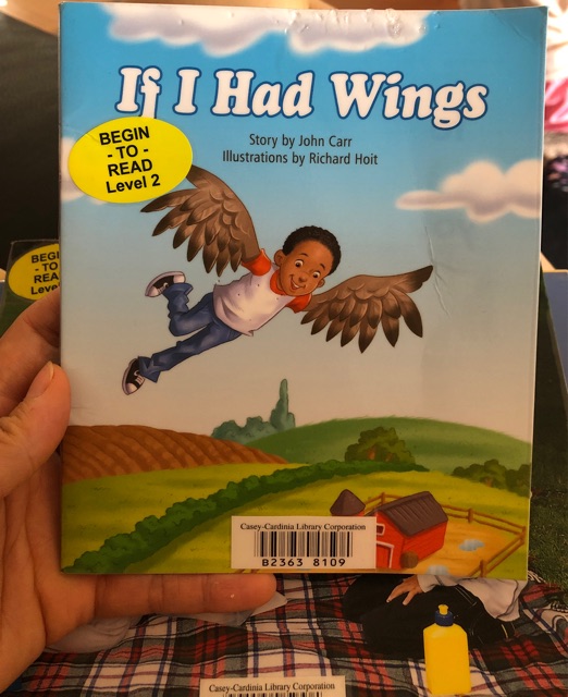 If I had wings