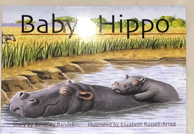 Baby Hippo(PM分级)