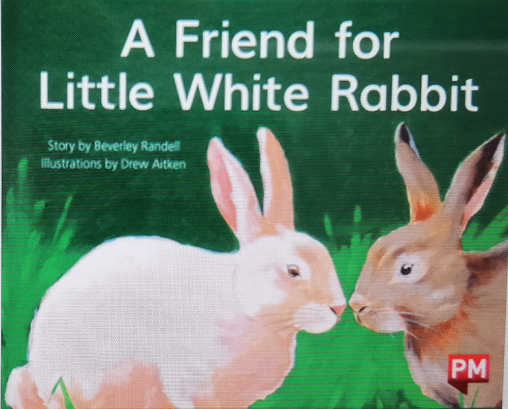 A Friend for Little White Rabbit(PM Ye