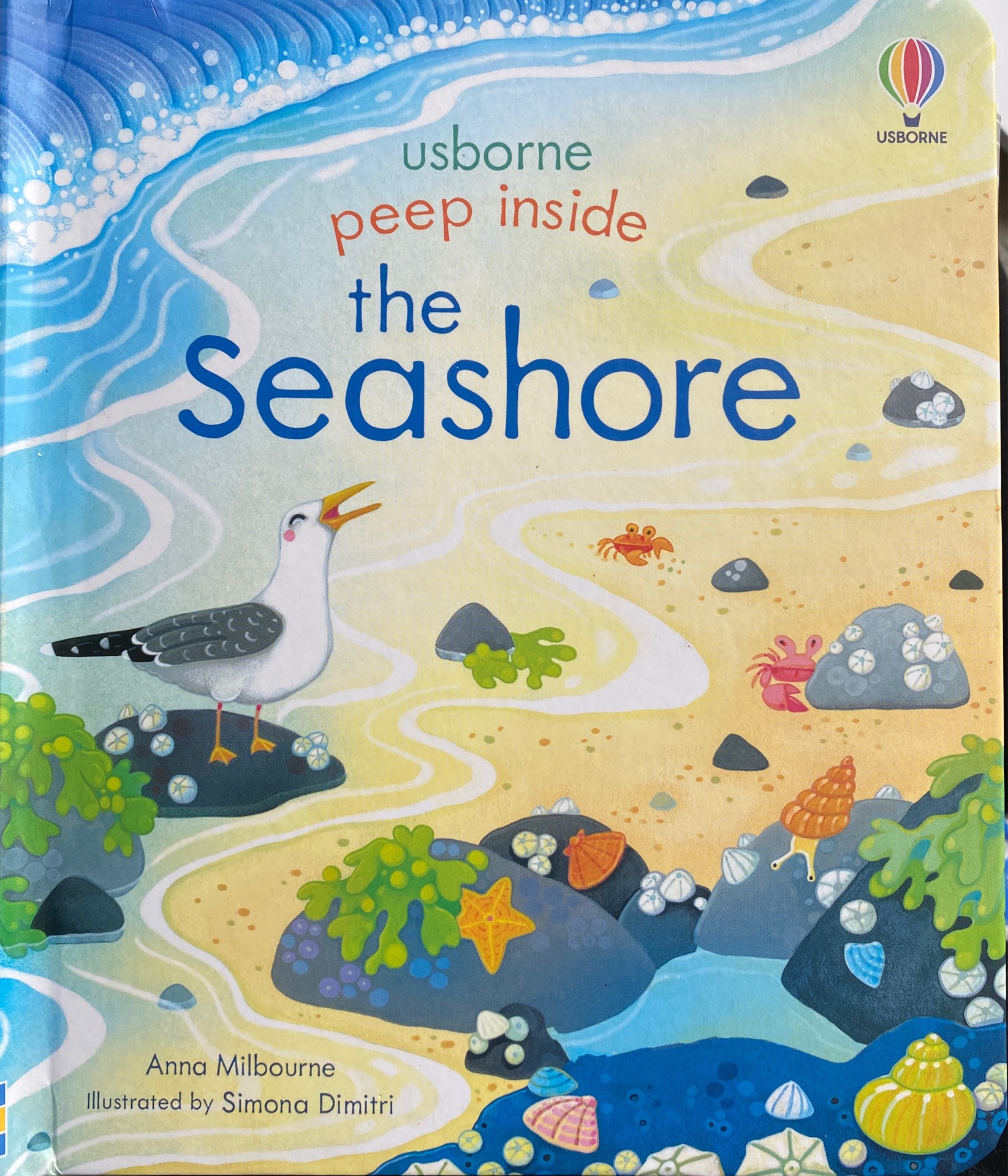 Peep Inside The  Seashore
