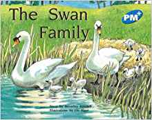 The Swan Family PM Plus Blue 10 (Progr