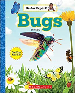 Bugs (Be An Expert!)