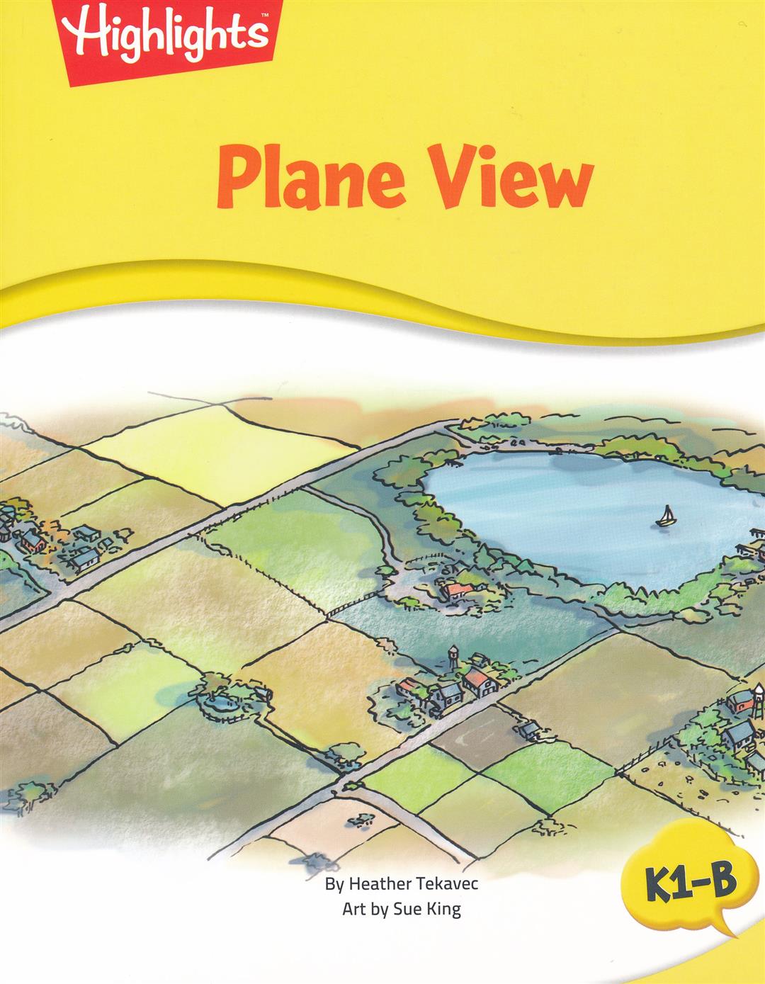 Plane View