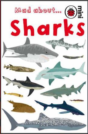 Mad About Sharks 小瓢虫书系-让人着迷的鲨鱼