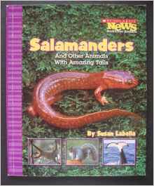 Salamanders and Other Animals With Ama