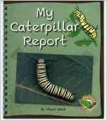 My Caterpillar Report