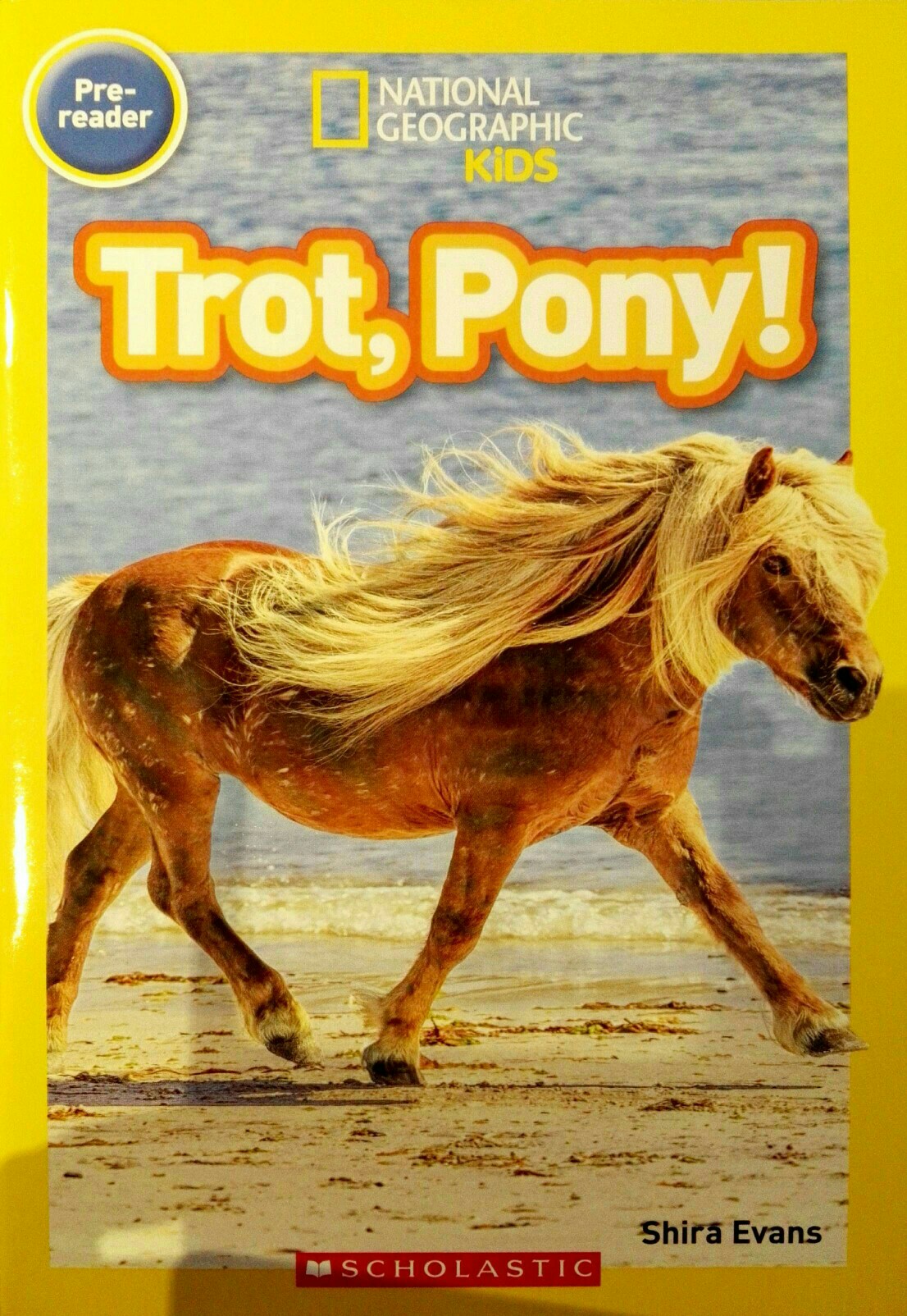 Trot, Pony!