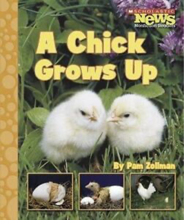 Scholastic News Nonfiction Readers: A 