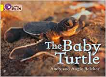 The Baby Turtle Workbook (Collins Big 