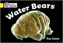 Water Bears Workbook (Collins Big Cat)