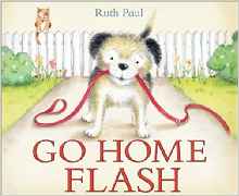 Go Home Flash