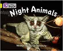 Night Animals Workbook (Collins Big Ca
