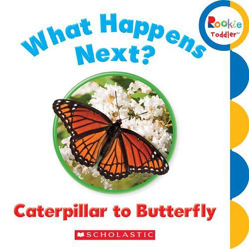 What Happens Next? Caterpillar to Butt
