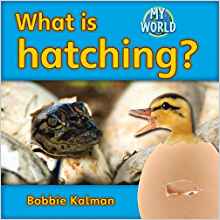 What Is Hatching? (Bobbie Kalman's Lev
