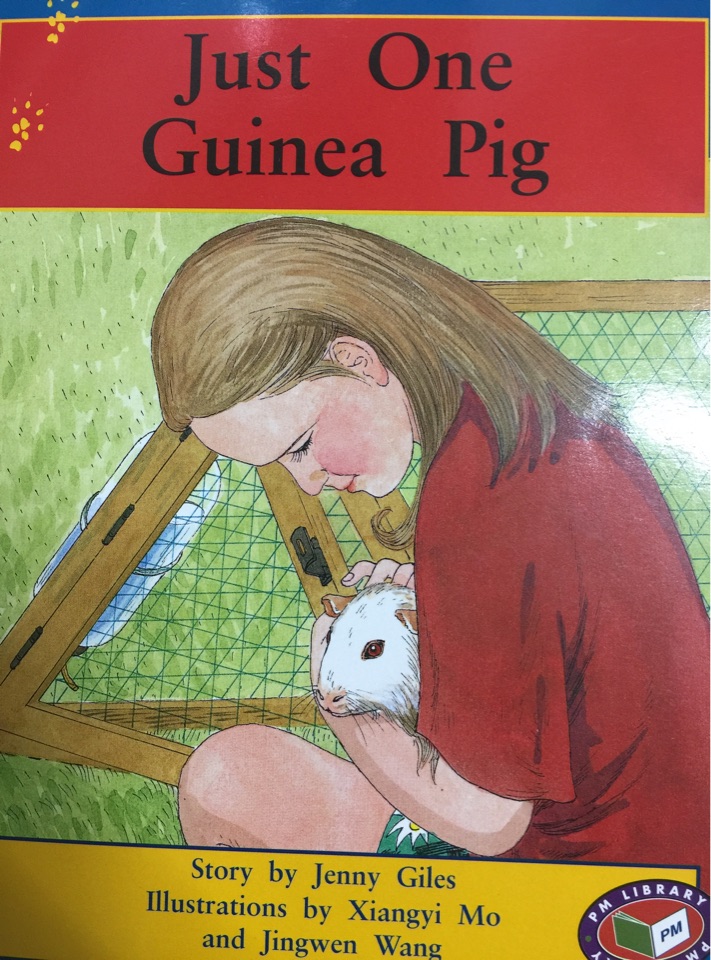 Just One Guinea Pig PM Level 15&16 Set
