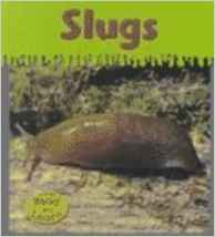 Slugs (Heinemann Read & Learn)