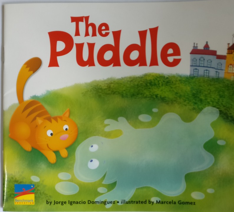 The puddle