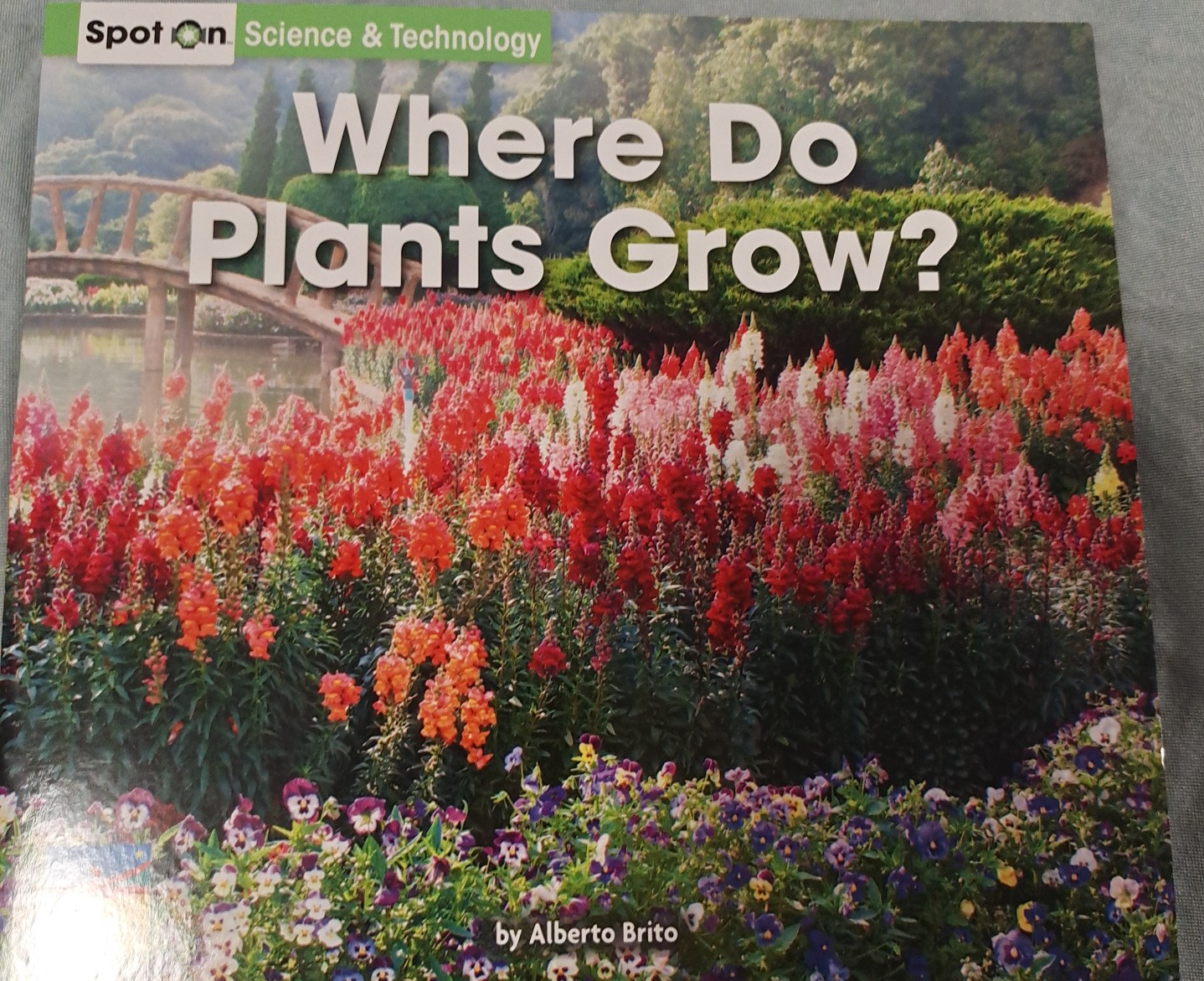 Where do plants grow