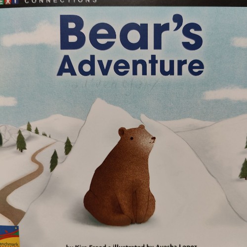 Bear's adventure