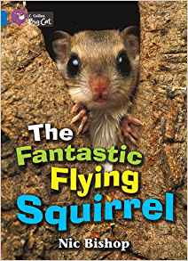 The Fantastic Flying Squirrel Workbook