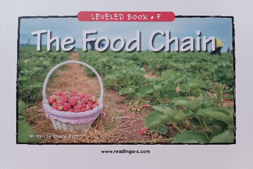The food chain