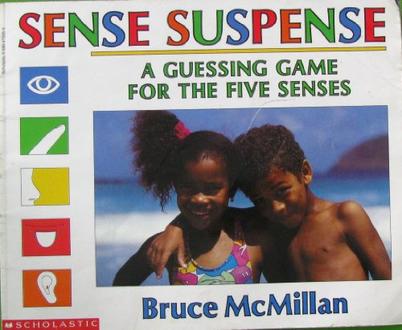Sense Suspense - a Guessing Game for t