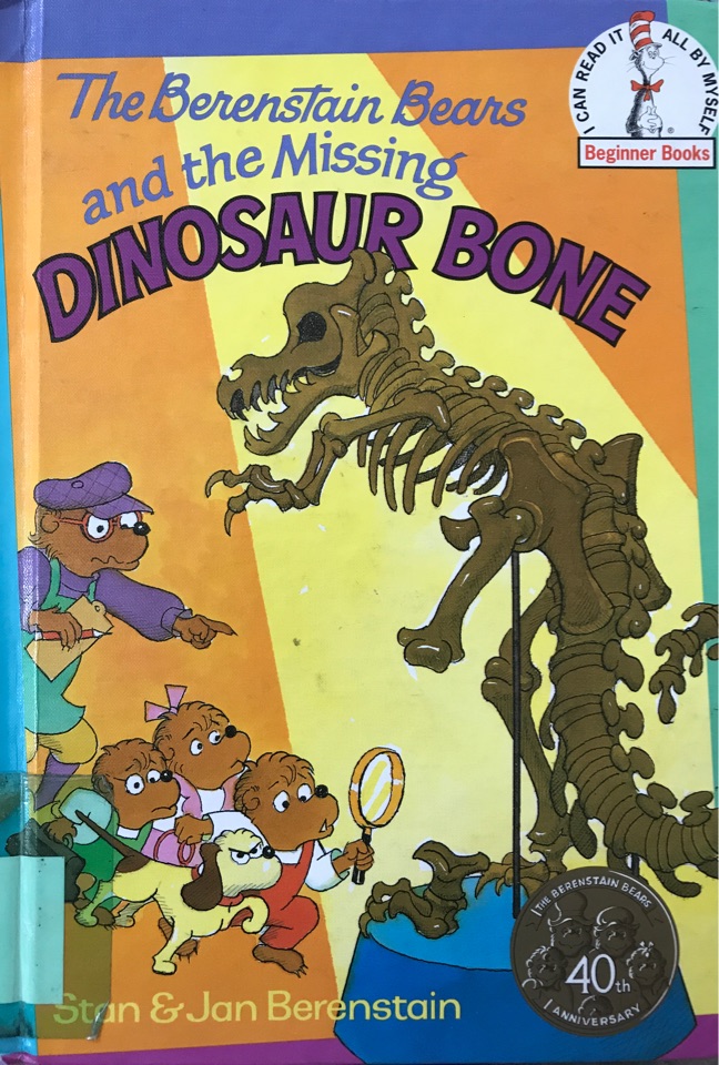 The Berenstain Bears and the Missing D