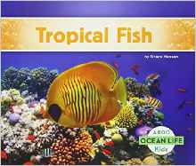 Tropical Fish (Ocean Life)