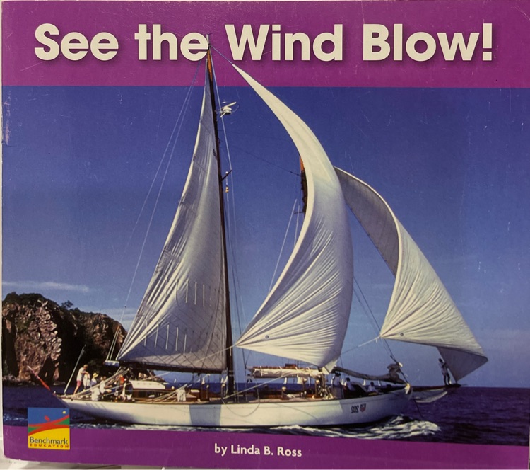 See the Wind Blow!