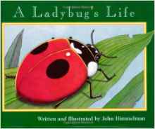 A Ladybug's Life (Nature Upclose (Pape