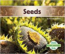 Seeds (Plant Anatomy)