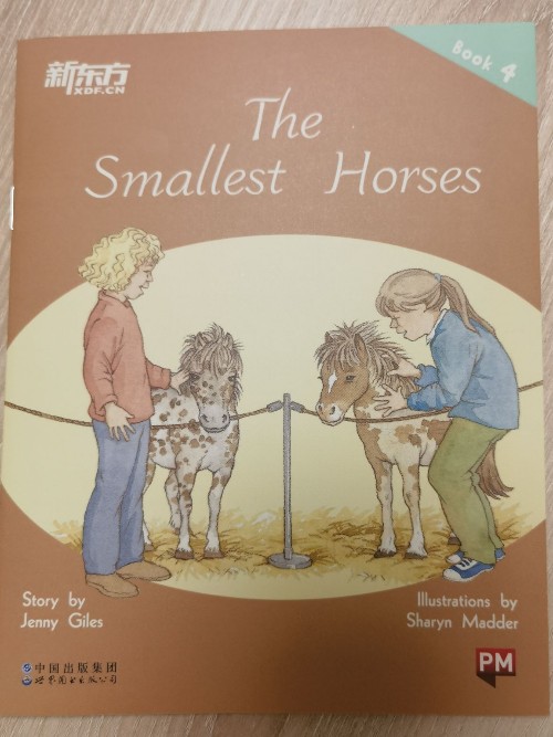 The Smallest Horses PM PLUS Level 17 T