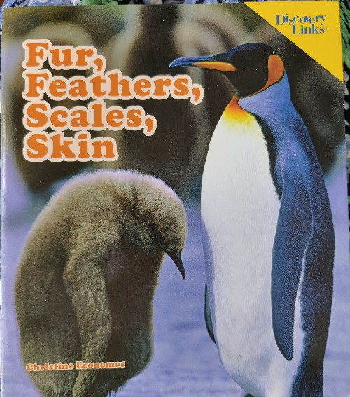 Fur, Feathers, Scales, Skin