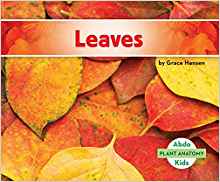 Leaves (Plant Anatomy)