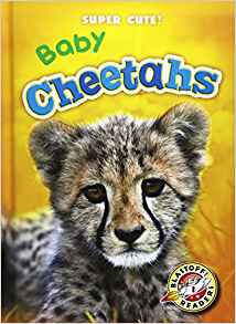 Baby Cheetahs (Blastoff Readers. Level
